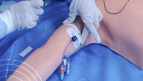 Habilitação em PICC e Acesso Venoso com USG